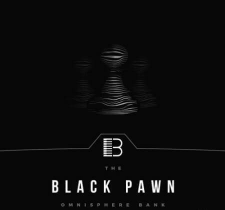 Brandon Chapa Black Pawn Synth Presets